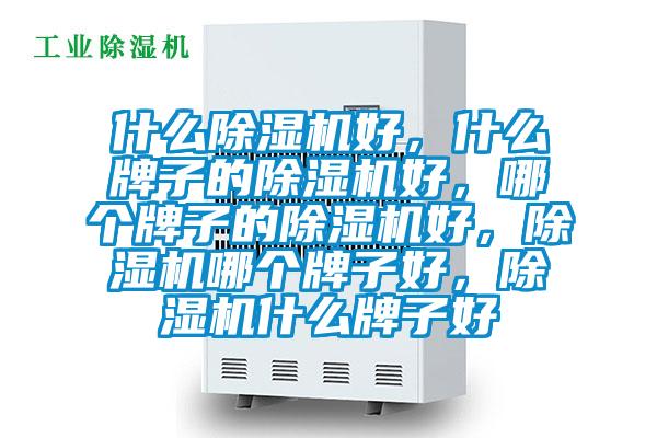 什么除濕機(jī)好,什么牌子的除濕機(jī)好,哪個牌子的除濕機(jī)好,除濕機(jī)哪個牌子好,除濕機(jī)什么牌子好