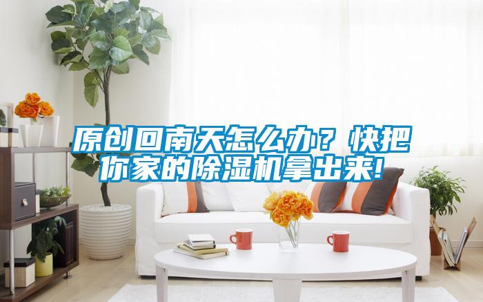 原創回南天怎么辦？快把你家的除濕機拿出來!
