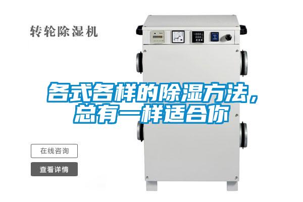 各式各樣的除濕方法，總有一樣適合你