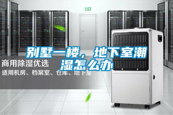 別墅一樓，地下室潮濕怎么辦