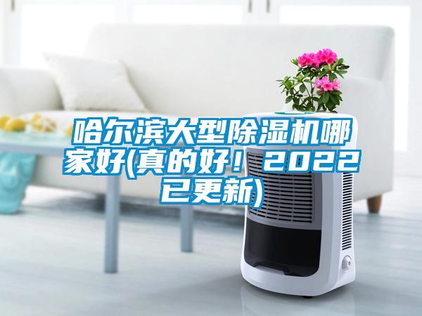 哈爾濱大型除濕機哪家好(真的好!2022已更新)