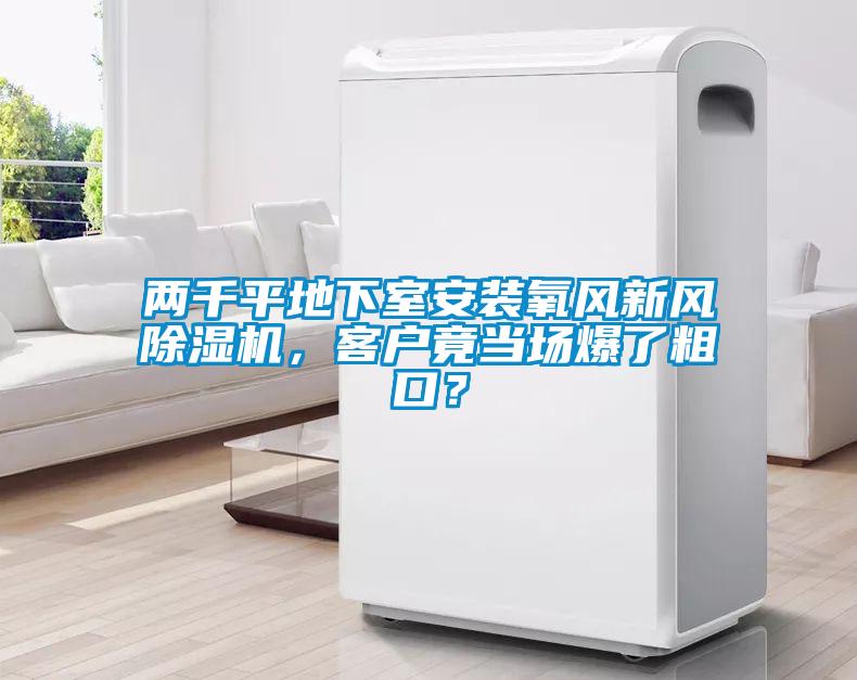 兩千平地下室安裝氧風新風除濕機，客戶竟當場爆了粗口？