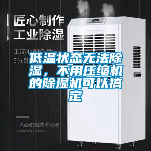 低溫狀態(tài)無(wú)法除濕，不用壓縮機(jī)的除濕機(jī)可以搞定