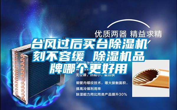 臺(tái)風(fēng)過后買臺(tái)除濕機(jī)刻不容緩 除濕機(jī)品牌哪個(gè)更好用