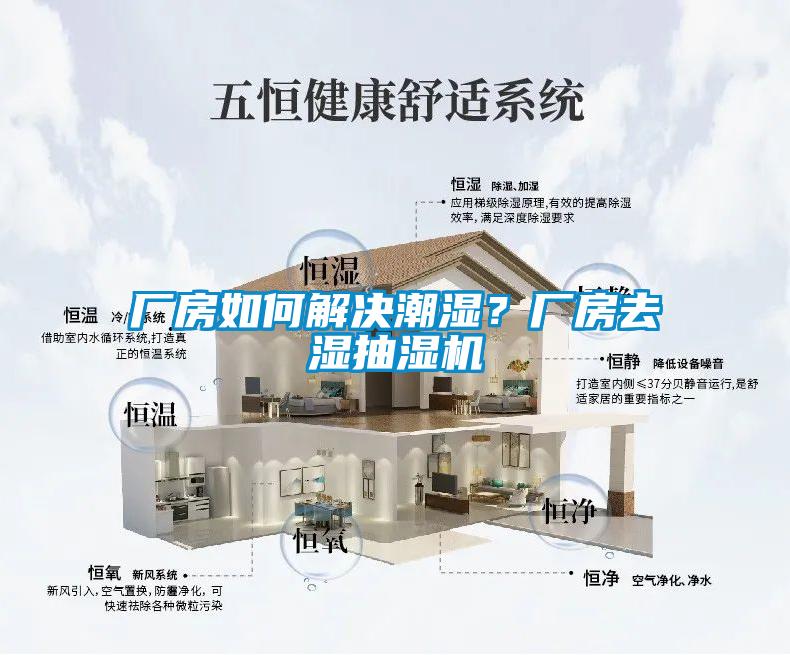 廠房如何解決潮濕？廠房去濕抽濕機(jī)