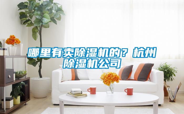 哪里有賣除濕機的？杭州除濕機公司