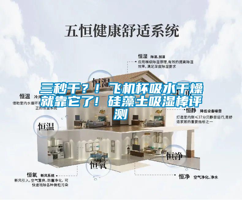 三秒干？! 飛機(jī)杯吸水干燥就靠它了! 硅藻土吸濕棒評(píng)測(cè)