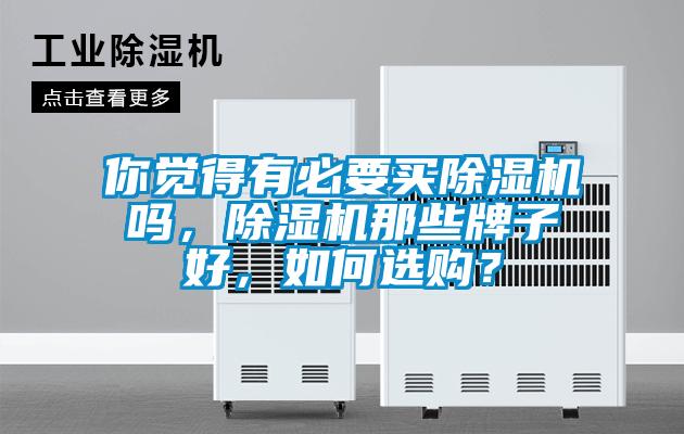 你覺得有必要買除濕機嗎，除濕機那些牌子好，如何選購？