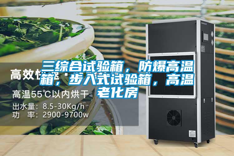 三綜合試驗(yàn)箱，防爆高溫箱，步入式試驗(yàn)箱，高溫老化房