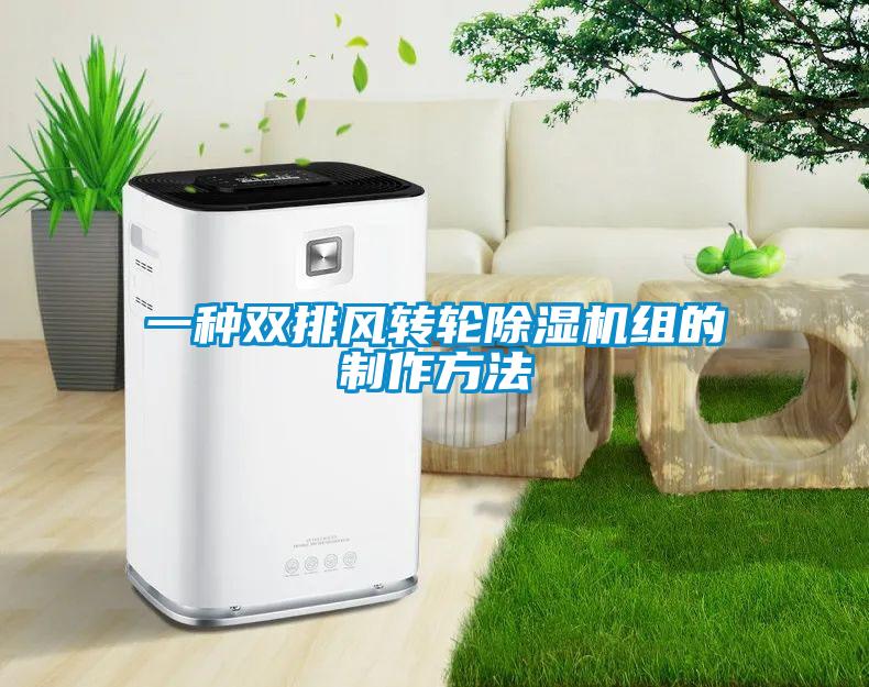 一種雙排風(fēng)轉(zhuǎn)輪除濕機組的制作方法