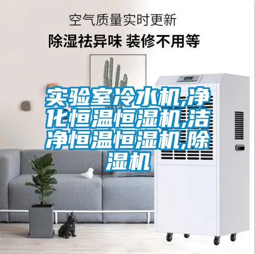 實(shí)驗(yàn)室冷水機(jī),凈化恒溫恒濕機(jī),潔凈恒溫恒濕機(jī),除濕機(jī)