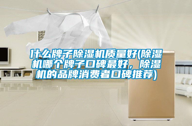 什么牌子除濕機(jī)質(zhì)量好(除濕機(jī)哪個牌子口碑最好，除濕機(jī)的品牌消費者口碑推薦)