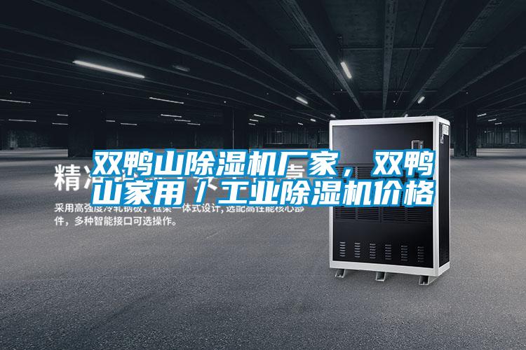 雙鴨山除濕機廠家，雙鴨山家用／工業除濕機價格