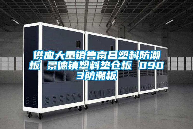 供應(yīng)大量銷售南昌塑料防潮板 景德鎮(zhèn)塑料墊倉(cāng)板 0903防潮板