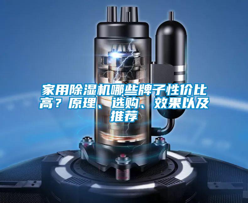 家用除濕機(jī)哪些牌子性價(jià)比高?原理、選購(gòu)、效果以及推薦