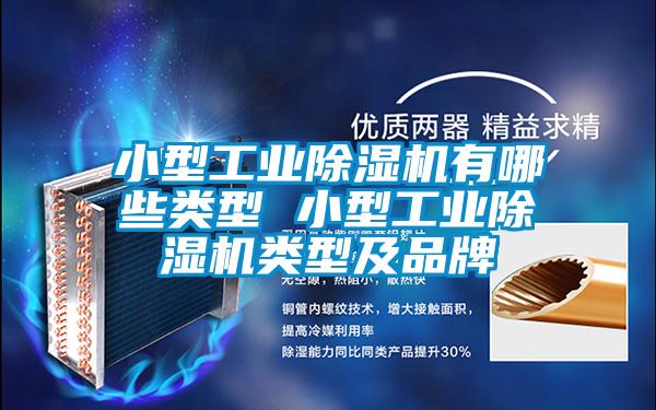 小型工業(yè)除濕機(jī)有哪些類型 小型工業(yè)除濕機(jī)類型及品牌