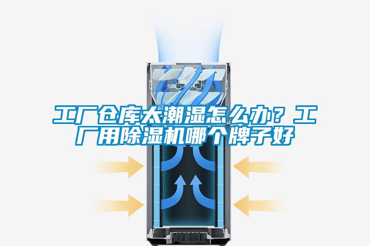工廠倉(cāng)庫(kù)太潮濕怎么辦?工廠用除濕機(jī)哪個(gè)牌子好
