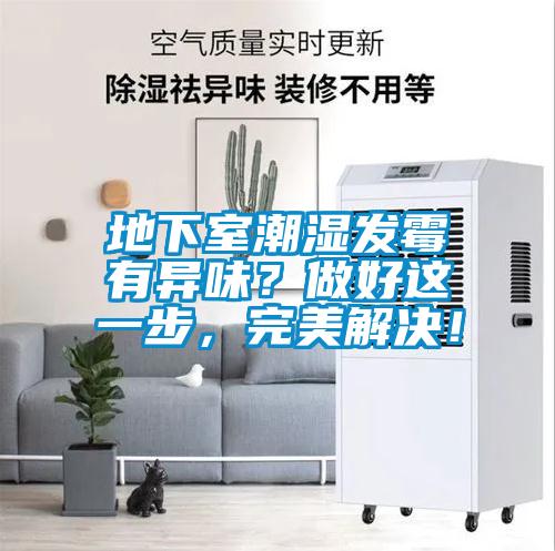 地下室潮濕發霉有異味？做好這一步，完美解決！