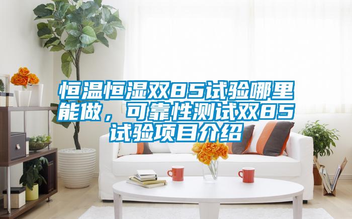 恒溫恒濕雙85試驗哪里能做，可靠性測試雙85試驗項目介紹