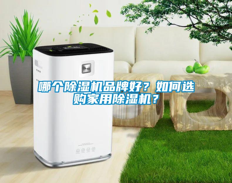 哪個(gè)除濕機(jī)品牌好?如何選購(gòu)家用除濕機(jī)?