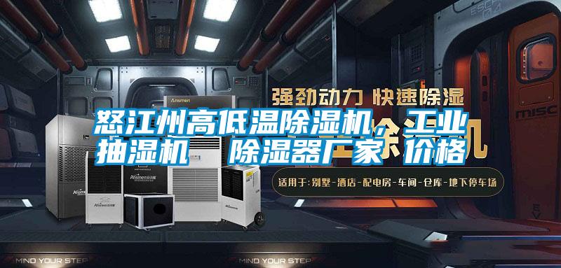 怒江州高低溫除濕機，工業抽濕機  除濕器廠家 價格