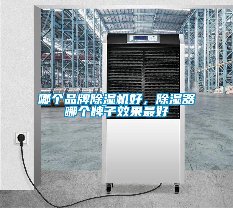 哪個品牌除濕機好，除濕器哪個牌子效果最好