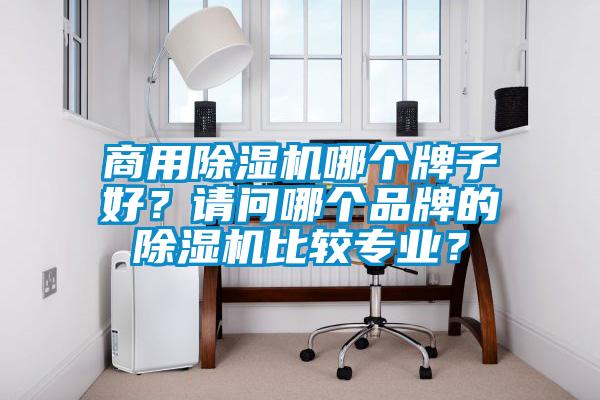 商用除濕機哪個牌子好？請問哪個品牌的除濕機比較專業？