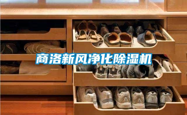 商洛新風凈化除濕機