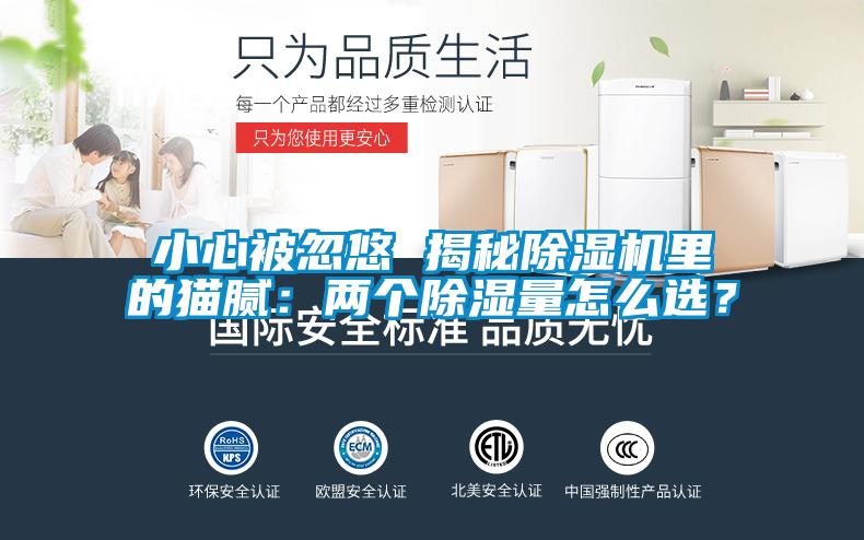 小心被忽悠 揭秘除濕機里的貓膩：兩個除濕量怎么選？