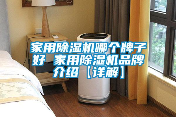 家用除濕機(jī)哪個牌子好 家用除濕機(jī)品牌介紹【詳解】