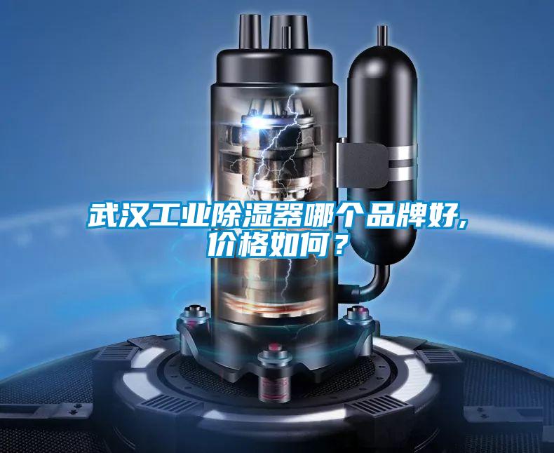 武漢工業除濕器哪個品牌好,價格如何？