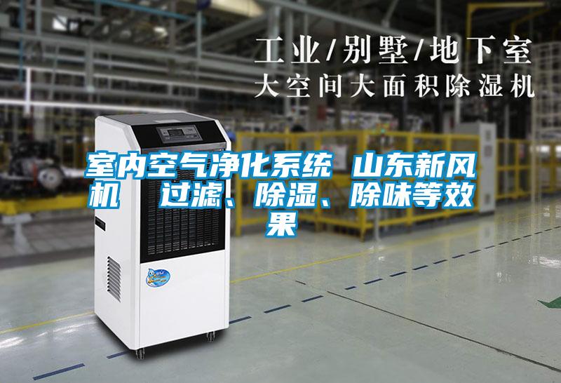 室內(nèi)空氣凈化系統(tǒng) 山東新風(fēng)機(jī)  過濾、除濕、除味等效果