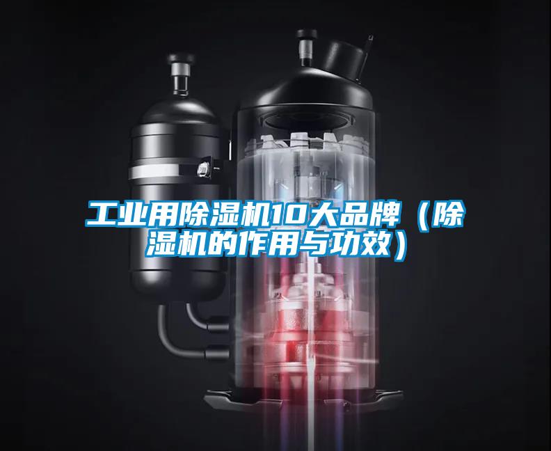 工業(yè)用除濕機10大品牌（除濕機的作用與功效）