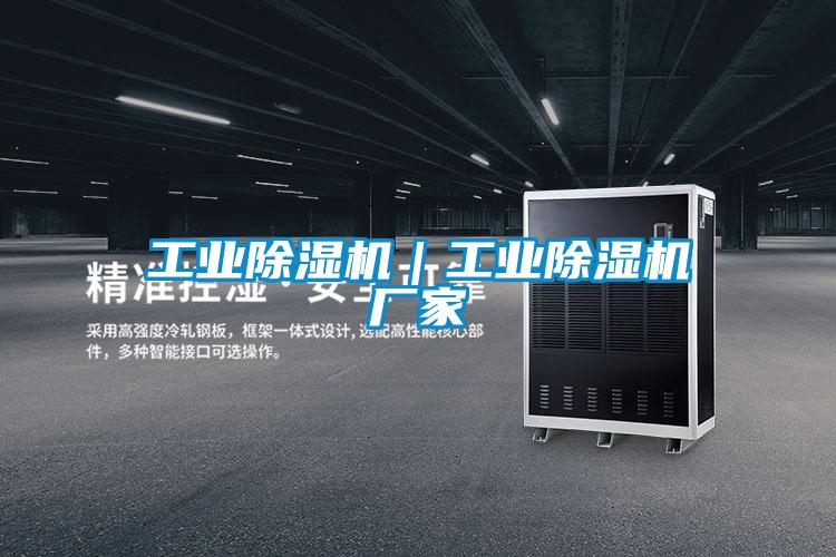 工業除濕機|工業除濕機廠家