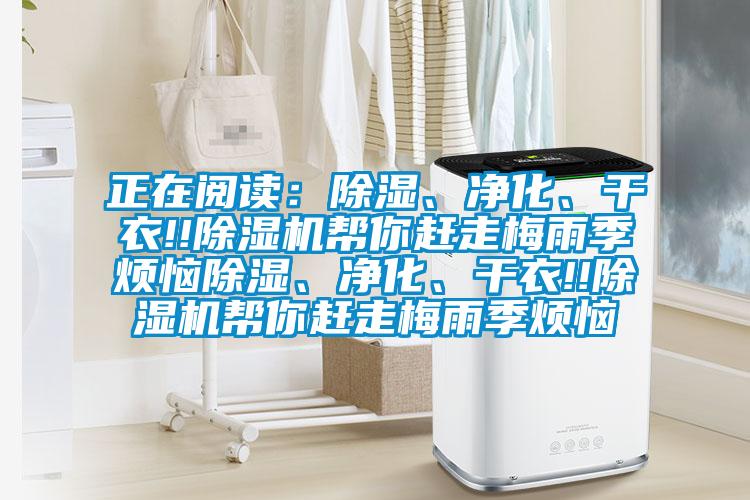 正在閱讀：除濕、凈化、干衣!!除濕機幫你趕走梅雨季煩惱除濕、凈化、干衣!!除濕機幫你趕走梅雨季煩惱