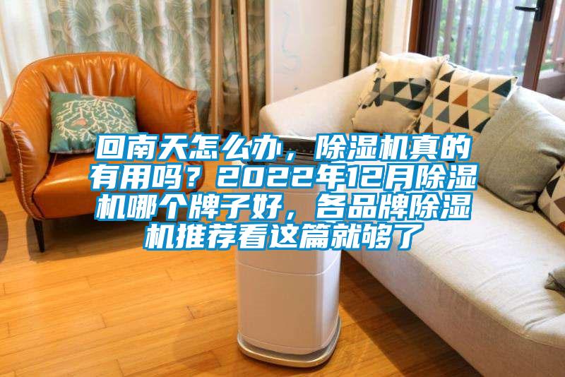 回南天怎么辦，除濕機真的有用嗎？2022年12月除濕機哪個牌子好，各品牌除濕機推薦看這篇就夠了