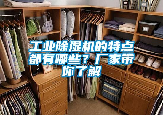工業(yè)除濕機(jī)的特點(diǎn)都有哪些？廠家?guī)懔私?/></p>
						    <p style=
