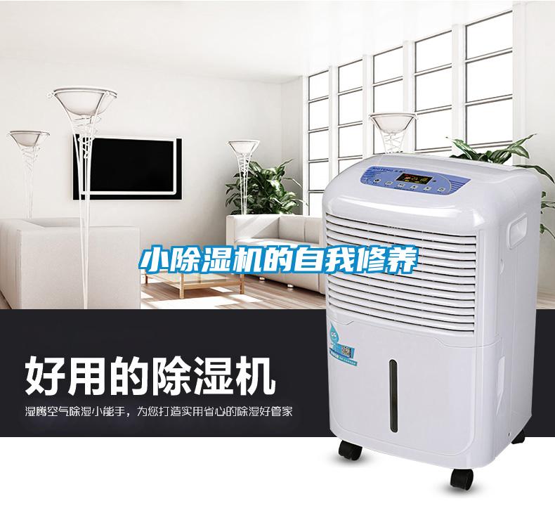 小除濕機的自我修養