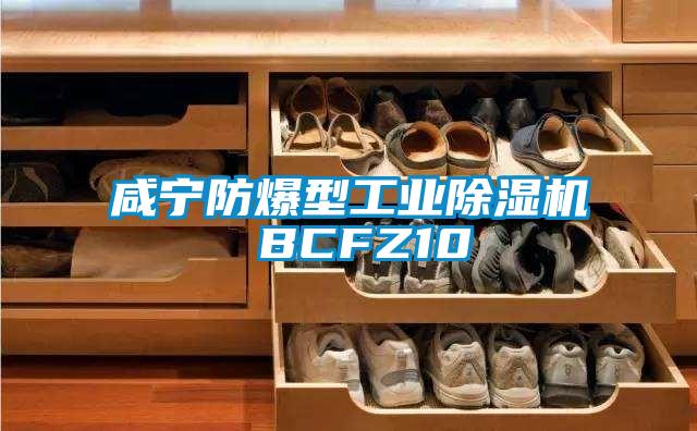 咸寧防爆型工業(yè)除濕機 BCFZ10