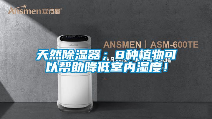 天然除濕器;8種植物可以幫助降低室內(nèi)濕度!