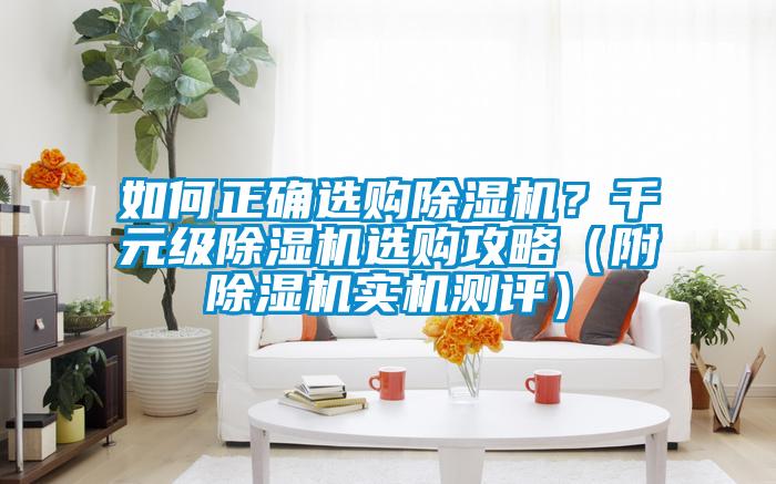 如何正確選購除濕機？千元級除濕機選購攻略（附除濕機實機測評）