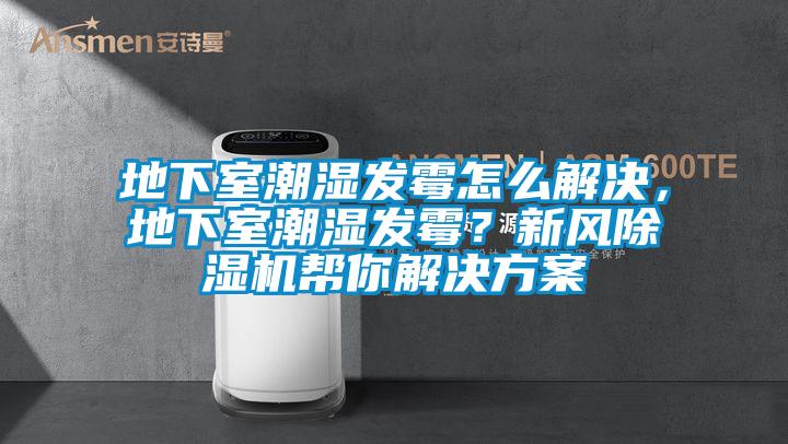 地下室潮濕發霉怎么解決，地下室潮濕發霉？新風除濕機幫你解決方案