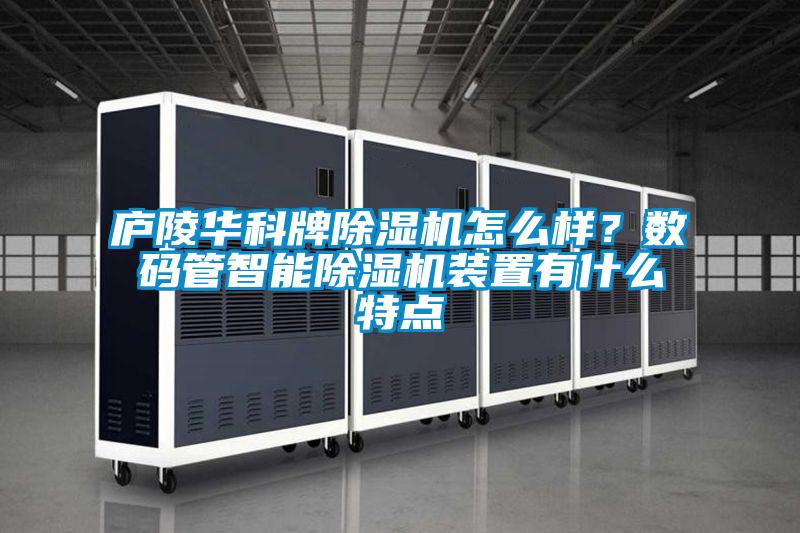 廬陵華科牌除濕機怎么樣?數碼管智能除濕機裝置有什么特點