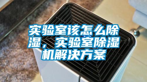 實驗室該怎么除濕，實驗室除濕機解決方案