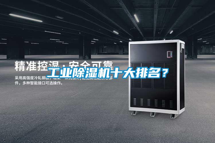 工業(yè)除濕機(jī)十大排名？