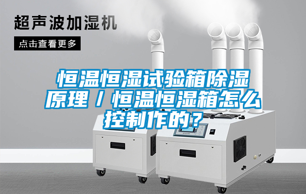 恒溫恒濕試驗箱除濕原理／恒溫恒濕箱怎么控制作的？