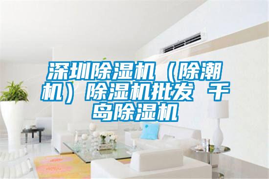 深圳除濕機（除潮機）除濕機批發 千島除濕機