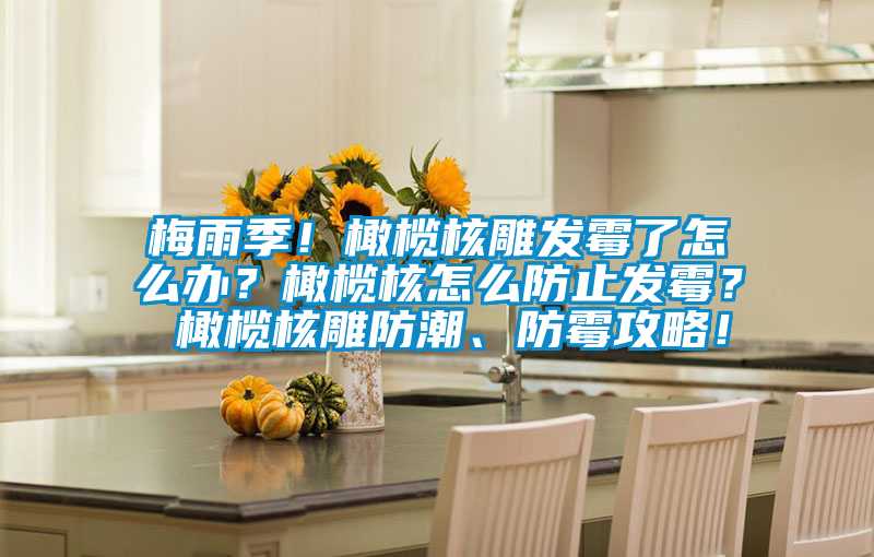 梅雨季!橄欖核雕發霉了怎么辦?橄欖核怎么防止發霉? 橄欖核雕防潮、防霉攻略!