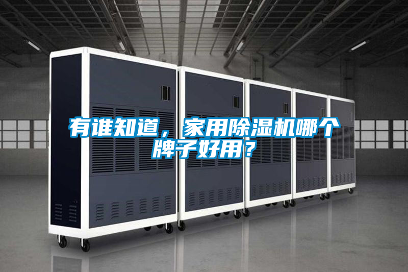 有誰(shuí)知道,家用除濕機(jī)哪個(gè)牌子好用?