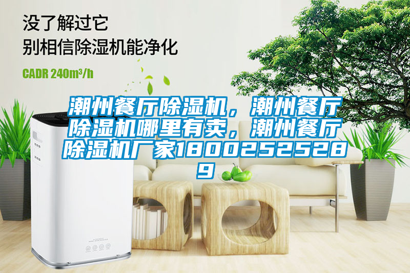 潮州餐廳除濕機，潮州餐廳除濕機哪里有賣，潮州餐廳除濕機廠家18002525289